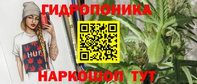 ГАЛЛЮЦИНОГЕННЫЕ ГРИБЫ Нальчик