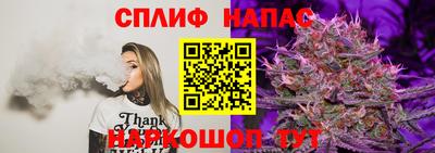 ГАЛЛЮЦИНОГЕННЫЕ ГРИБЫ Нальчик