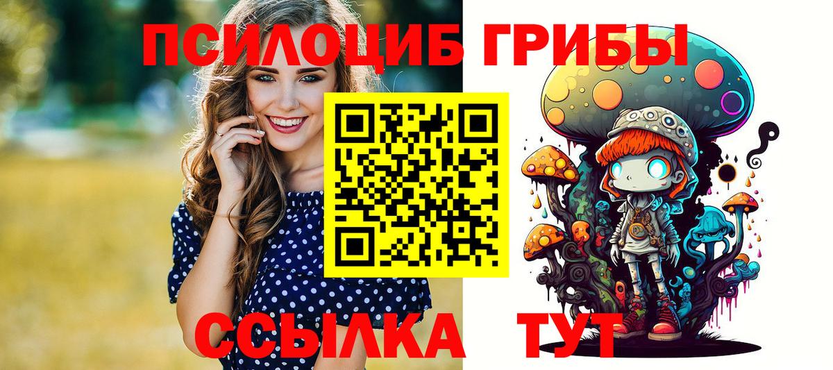 Псилоцибиновые грибы Psilocybe Солнечногорск